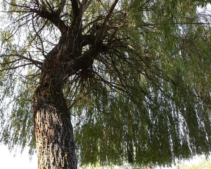 Matz Parkgarten Und Vesperstube Im Naturheil